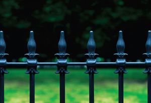 289 178 hazelton fence